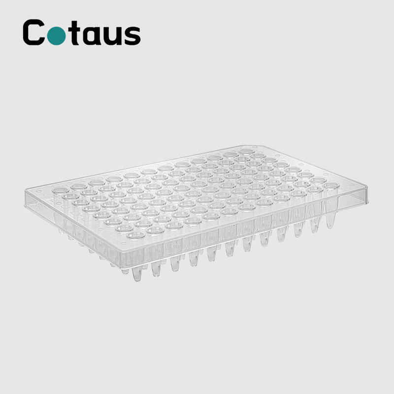 What is a PCR plate