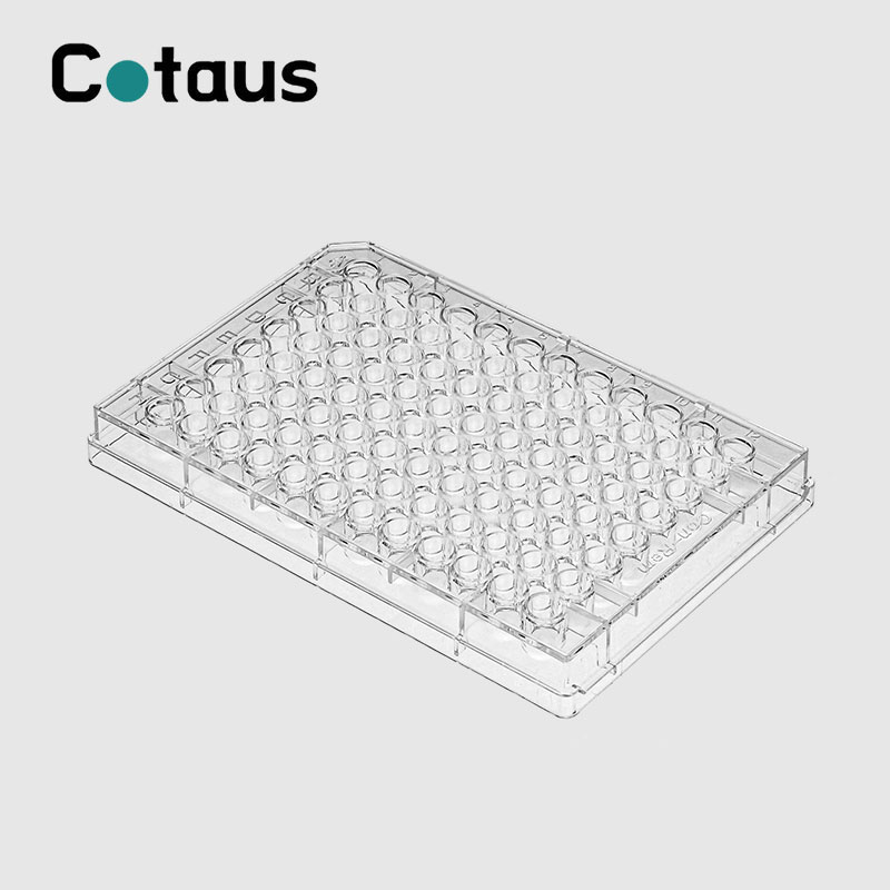 Introduction of Elisa Plate